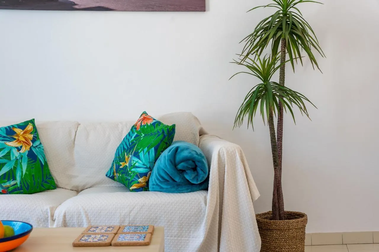 Apartment Feliz 카르보에이루